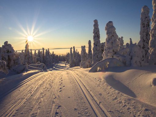 Spark- eller skidtur